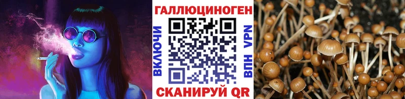 Галлюциногенные грибы MAGIC MUSHROOMS  Купить где  Горячий Ключ 